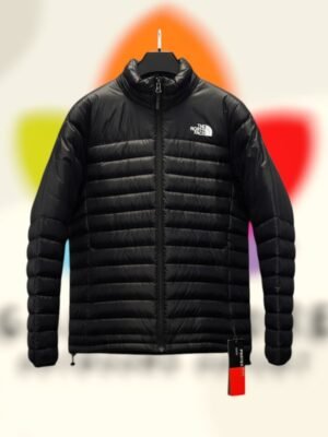 the north face down jacket negro hombre.jpg
