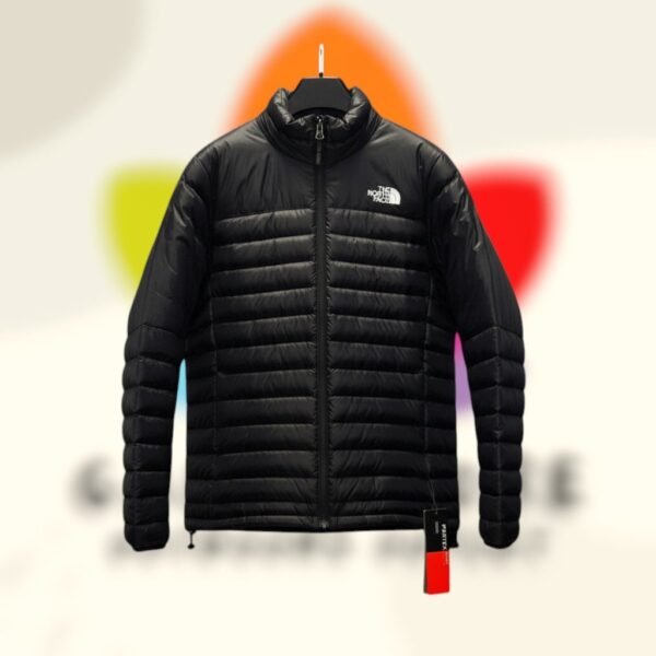 the north face down jacket negro hombre.jpg